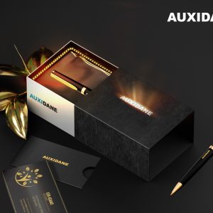 Pen Box in LED format